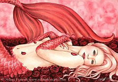 Sea of Roses